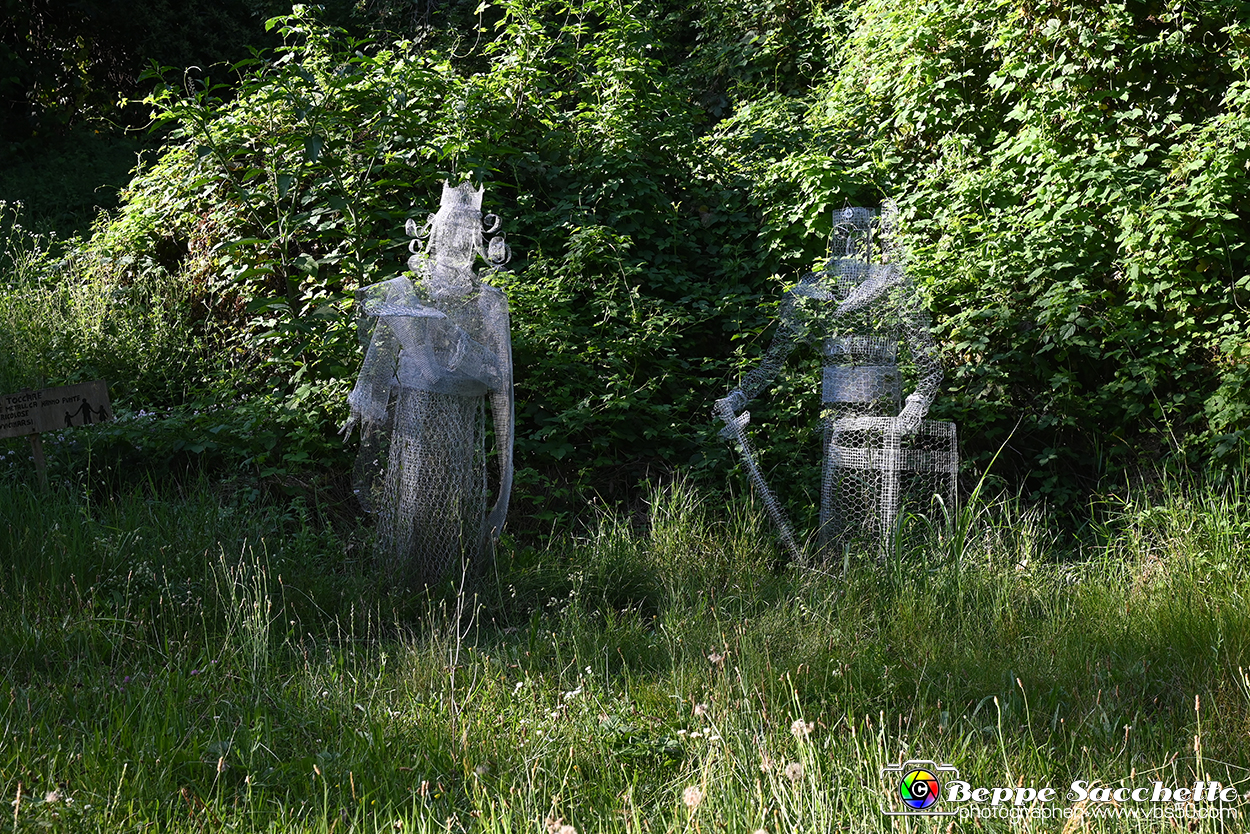 VBS_4852 - Il bosco fatato - Montaldo Roero.jpg